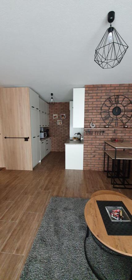 Apartamenty Bartnicza A Bielsko-Biala Exterior foto